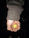 IMG_5431.jpeg