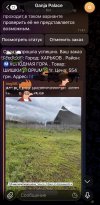 IMG_0953.jpeg