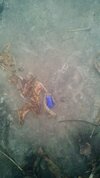 IMG_20211206_094017_030.jpg