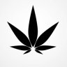 opium_area's